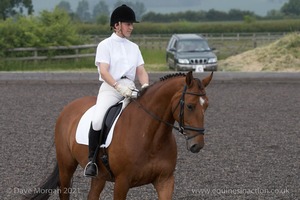 ISIS Dressage Challenge 2008